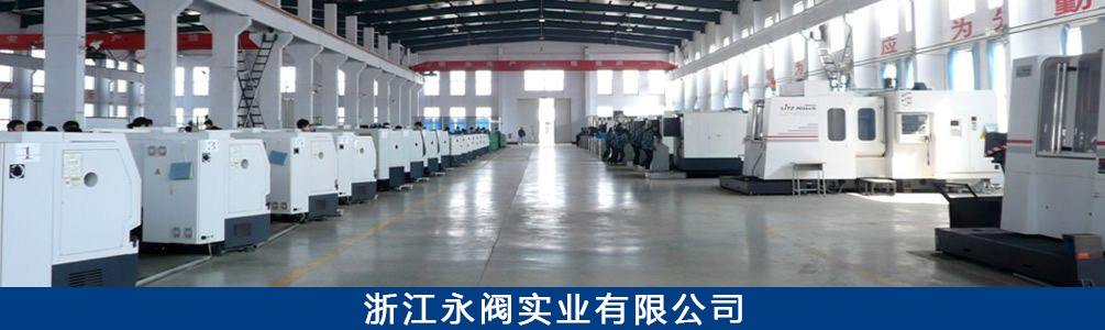 浙江永閥實業(yè)有限公司
